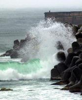 Typhoon to hit quake-prone Izu Islands, Honshu
